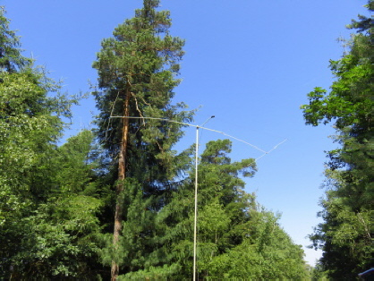 MOXON Antenne