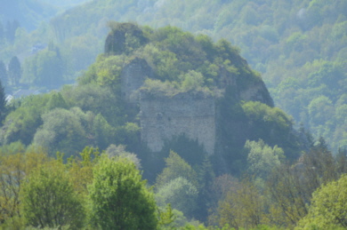 Burgruine - Steinkallenfels - DL00750 -  RPB - 071