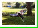 Mein Boss und Ich Mein Boss und Ich
