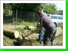 Baum zerlegen 2011 Baum zerlegen 2011